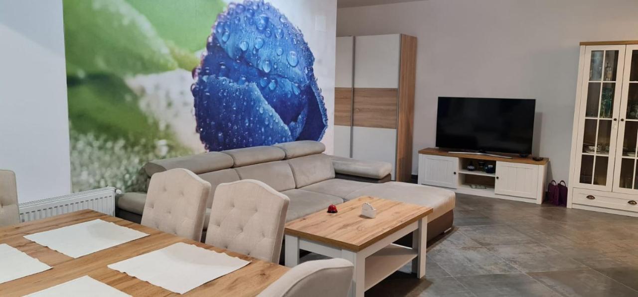 Apartament FIORE BLU  Năvodari Exterior foto